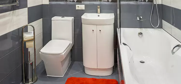 Hansgrohe Shaving Mirror Smithtown